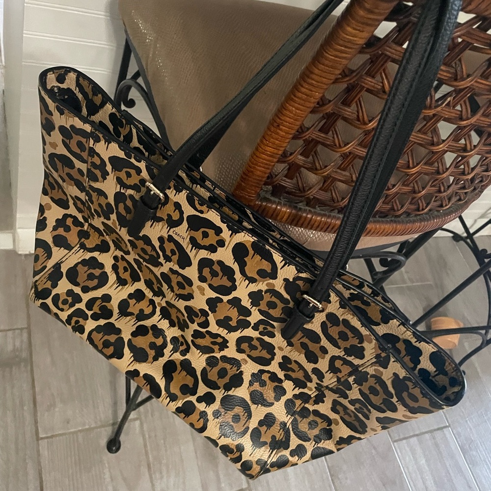 Cheetah Coach Bag ✨
